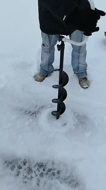 VID_20251214_115725.mp4