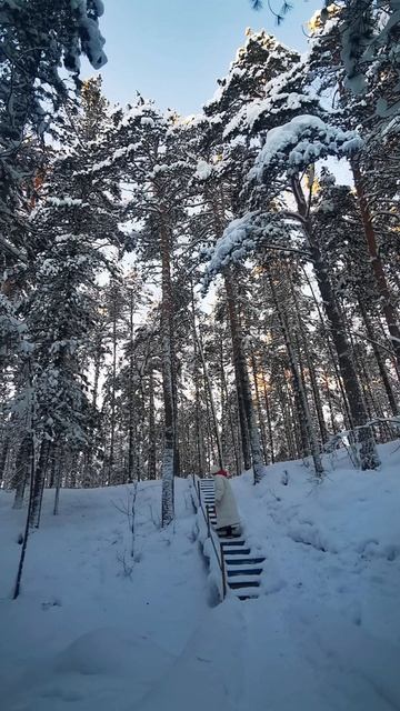 По воду на родник, январь 2023