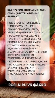Как правильно хранить лук-севок (альтернативный вариант)