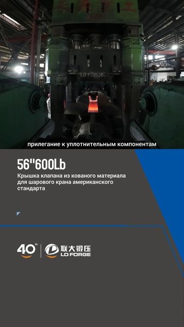 56''600Lb Крышка клапана из кованого материала для шарового крана американского стандарта-LD FORGE