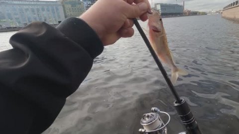 СПИННИНГ С АЛИЭКСПРЕСС,РАБОЧАЯ ПАЛОЧКА ЗА КОПЕЙКИ🔥🔥🔥