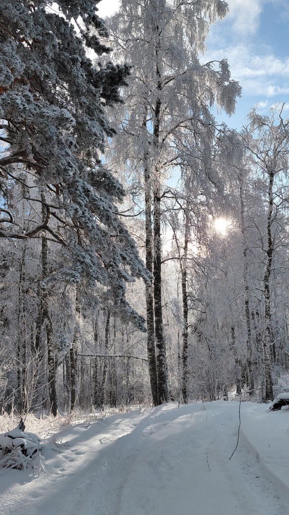 Зимняя сказка 14.12.2025