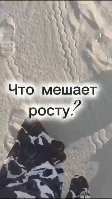 предсказание