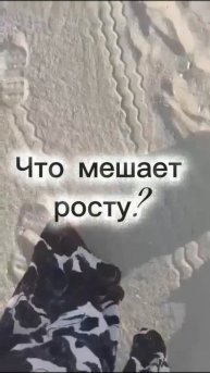 предсказание