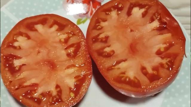 Каталог томатов на 2026 год. Новинки 2025 года. Часть 6. СКИДКИ на СЕМЕНА! г. Киров