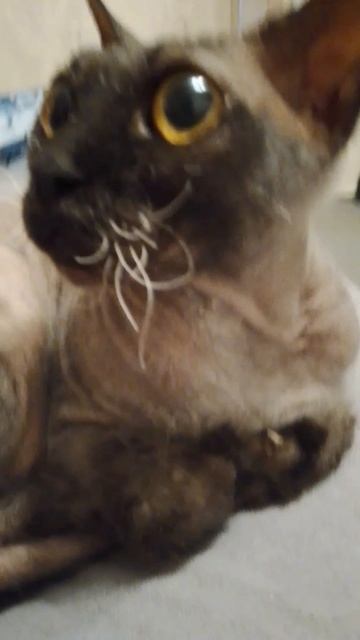 Я не делаю пиары, поймите 😢