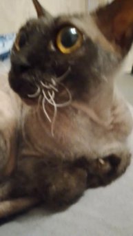 Я не делаю пиары, поймите 😢