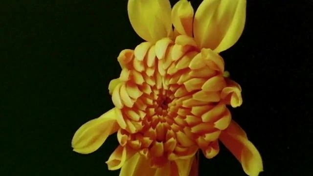 ПЯТОЕ ИЗМЕРЕНИЕ