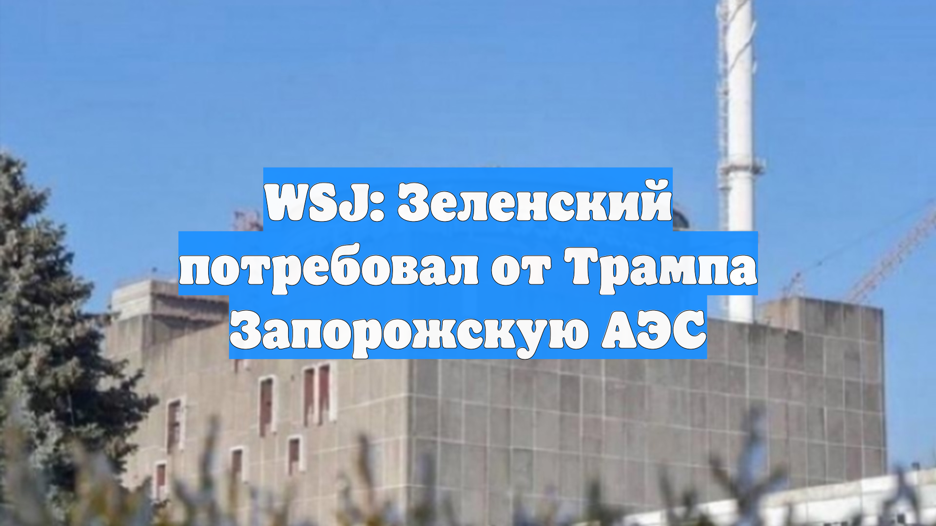 WSJ: Зеленский потребовал от Трампа Запорожскую АЭС