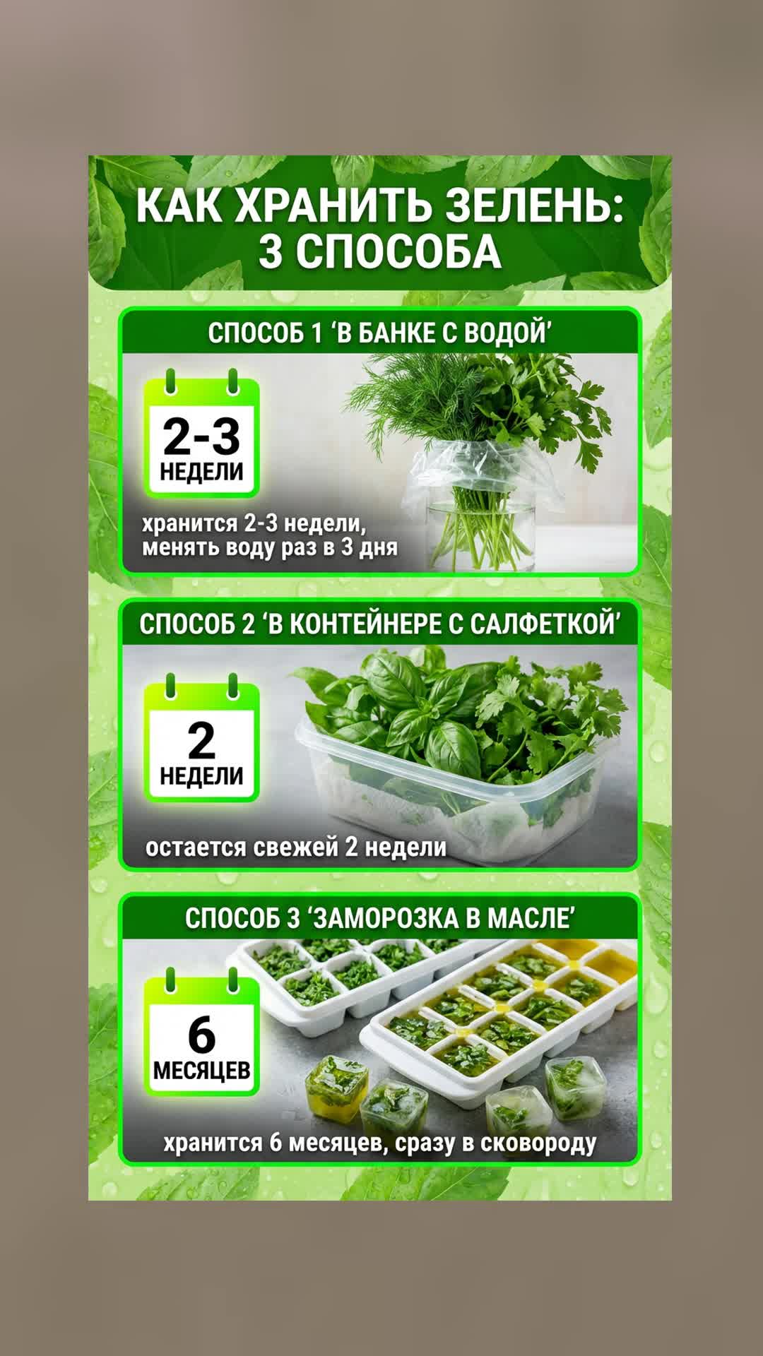 А вы знали КАК хранить зелень