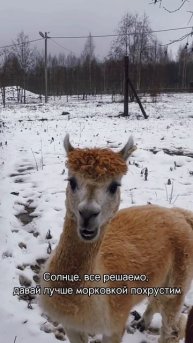 Давайте с нами за звездами ✨