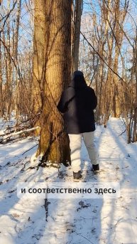 Лечебные обнимашки с деревьями.