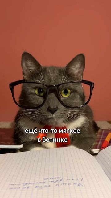 ЕСЛИ БЫ КОТИКИ ХОДИЛИ В ШКОЛУ - ВОЛДЕМОРТ