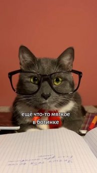 ЕСЛИ БЫ КОТИКИ ХОДИЛИ В ШКОЛУ - ВОЛДЕМОРТ