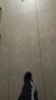 играю с моей кошачкой