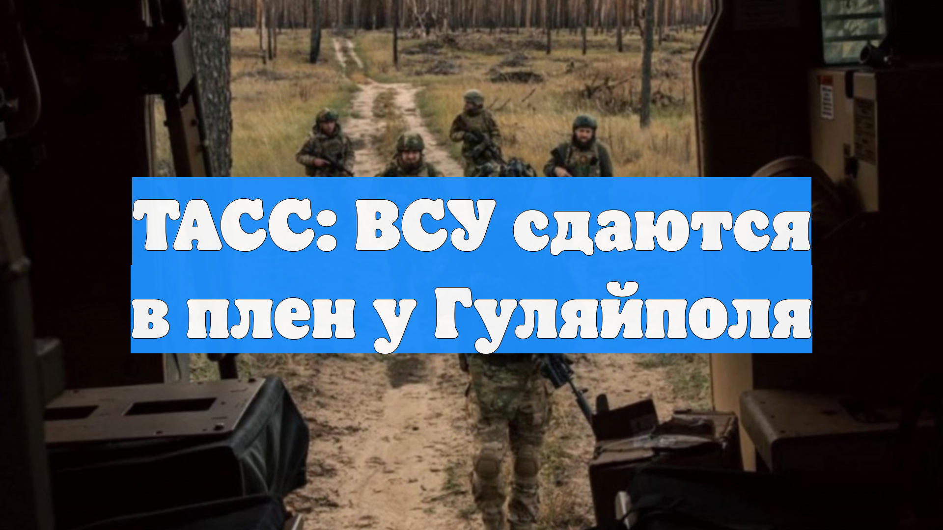 ТАСС: ВСУ сдаются в плен у Гуляйполя