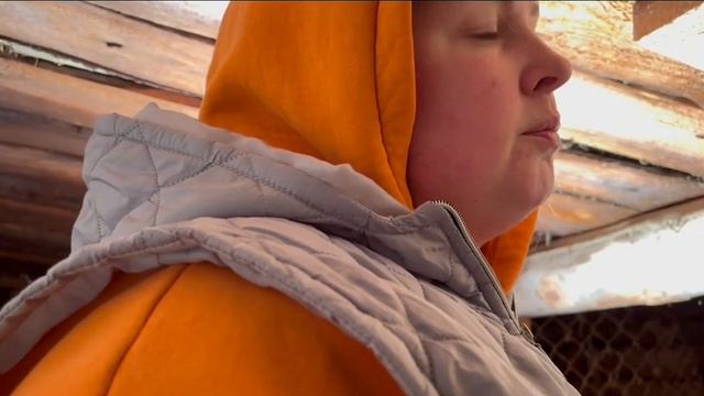 Серия 11. Курятни часть 1. Своими руками переделываю старый сарай.