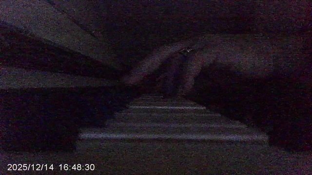 Пианино: тонированная хроматическая импровизация