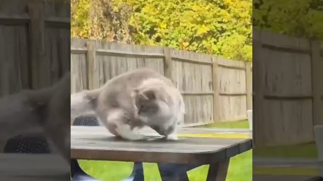 Играл с листочком и проиграл