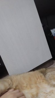 похоже Прощайте подписчики