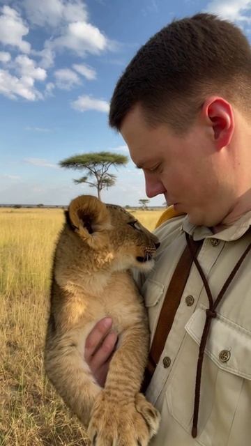 Маленький лев на ручках