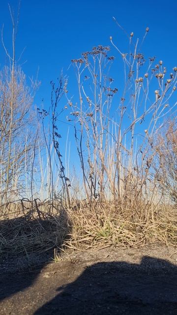 Редкий гость💙