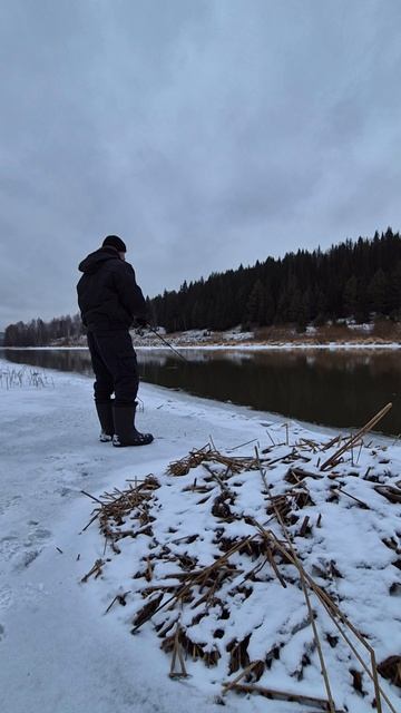 Рыбалка на спиннинг зимой🎣