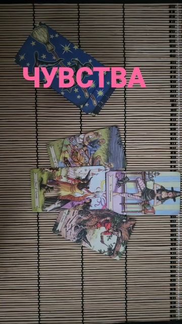 ЕГО ЧУВСТВА