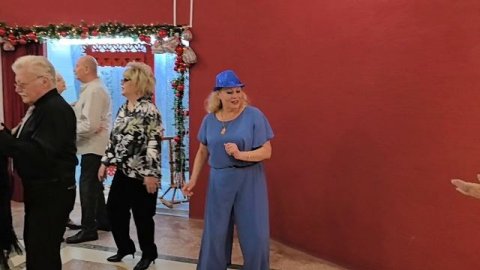 Ромашки... 13.12.25...