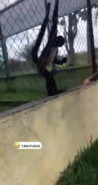 Карма в действии😁