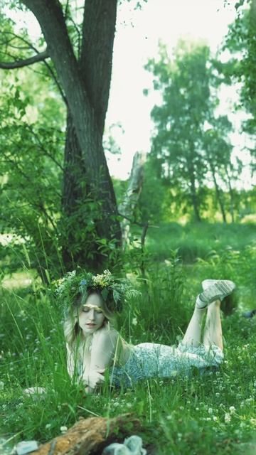 лесная история