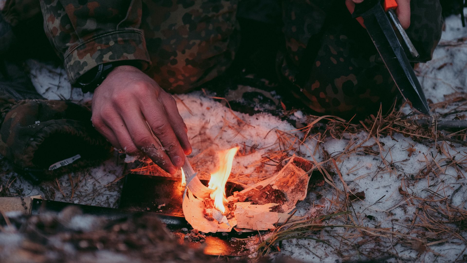 Лесной курс - В диких условиях