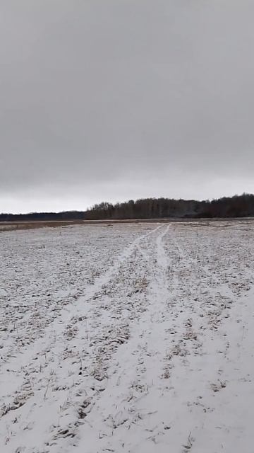 гуляем по первому снегу