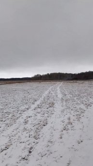 гуляем по первому снегу