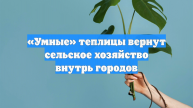 «Умные» теплицы вернут сельское хозяйство внутрь городов