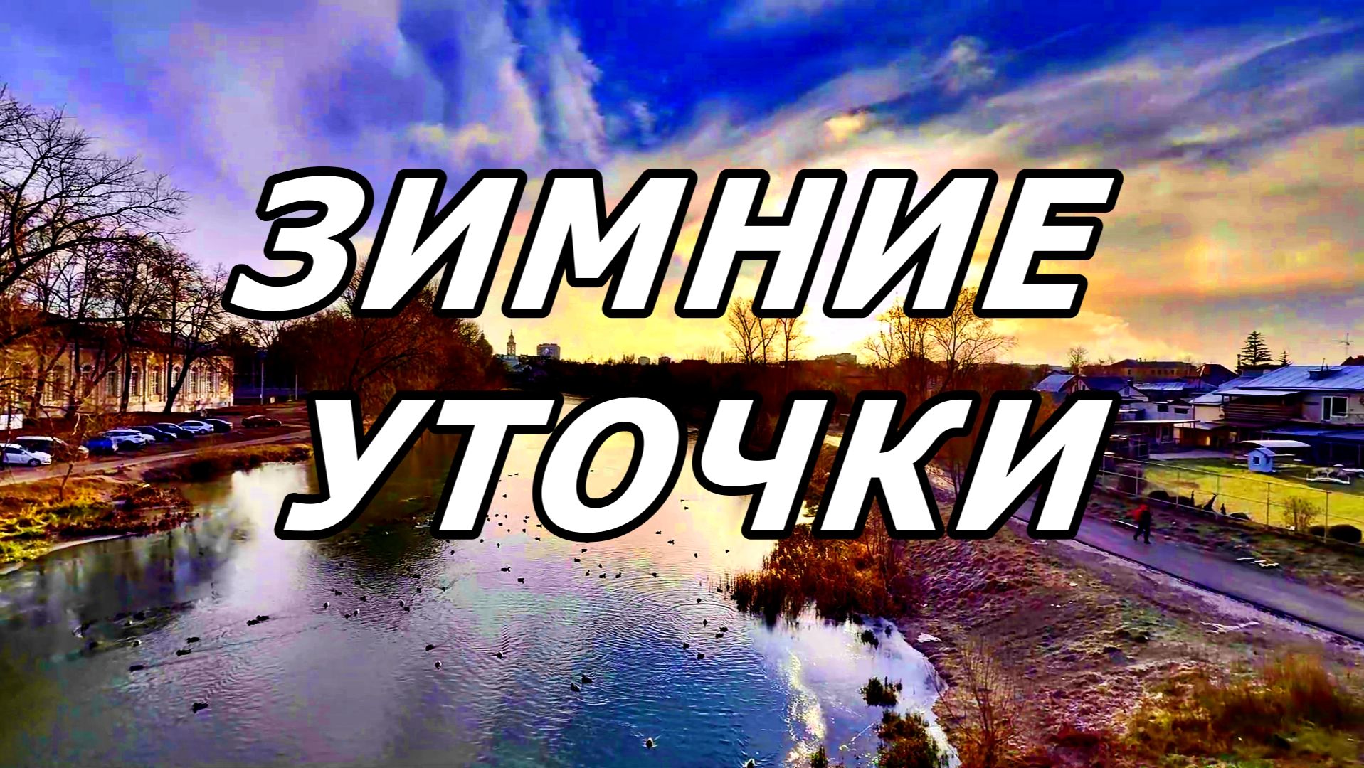 ОРЛОВСКИЕ УТОЧКИ В ДЕКАБРЕ 2025