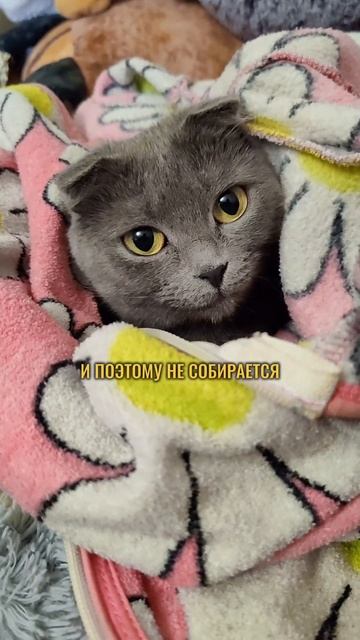 Шокирующие новости!😲🌐