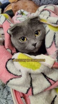 Шокирующие новости!😲🌐