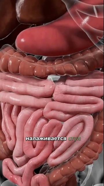 Что будет, если вы начнёте есть чеснок каждый день?