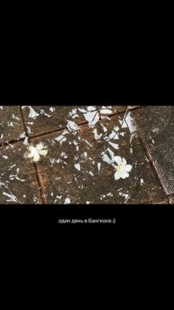 я обожаю острую еду :) поэтому Тайланд в этом плане мне очень подходит) #тайланд #бангкок #влог