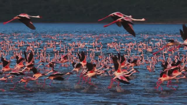 УСПОКАИВАЮЩАЯ И РАСЛАБЛЯЮШАЯ МУЗЫКА ДЛЯ ДУШИ