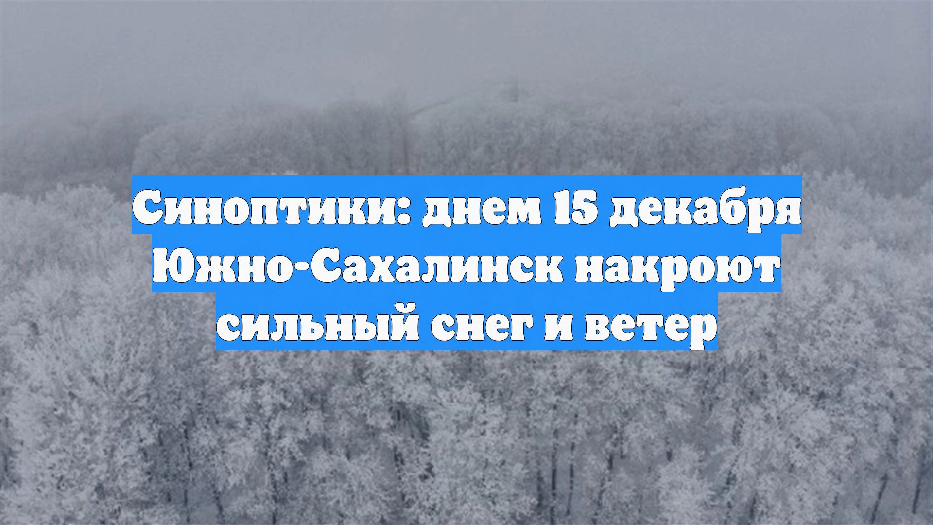 Синоптики: днем 15 декабря Южно-Сахалинск накроют сильный снег и ветер