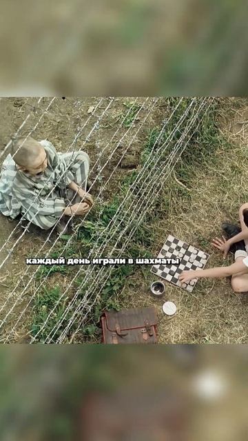 Мой новый друг живёт за забором