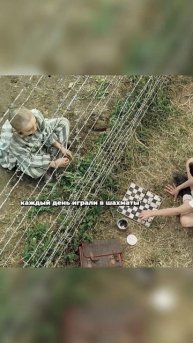 Мой новый друг живёт за забором