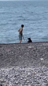 Прогулка со Стаффордом вдоль моря🏝️