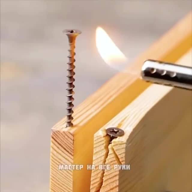 #видео #животные #Милые