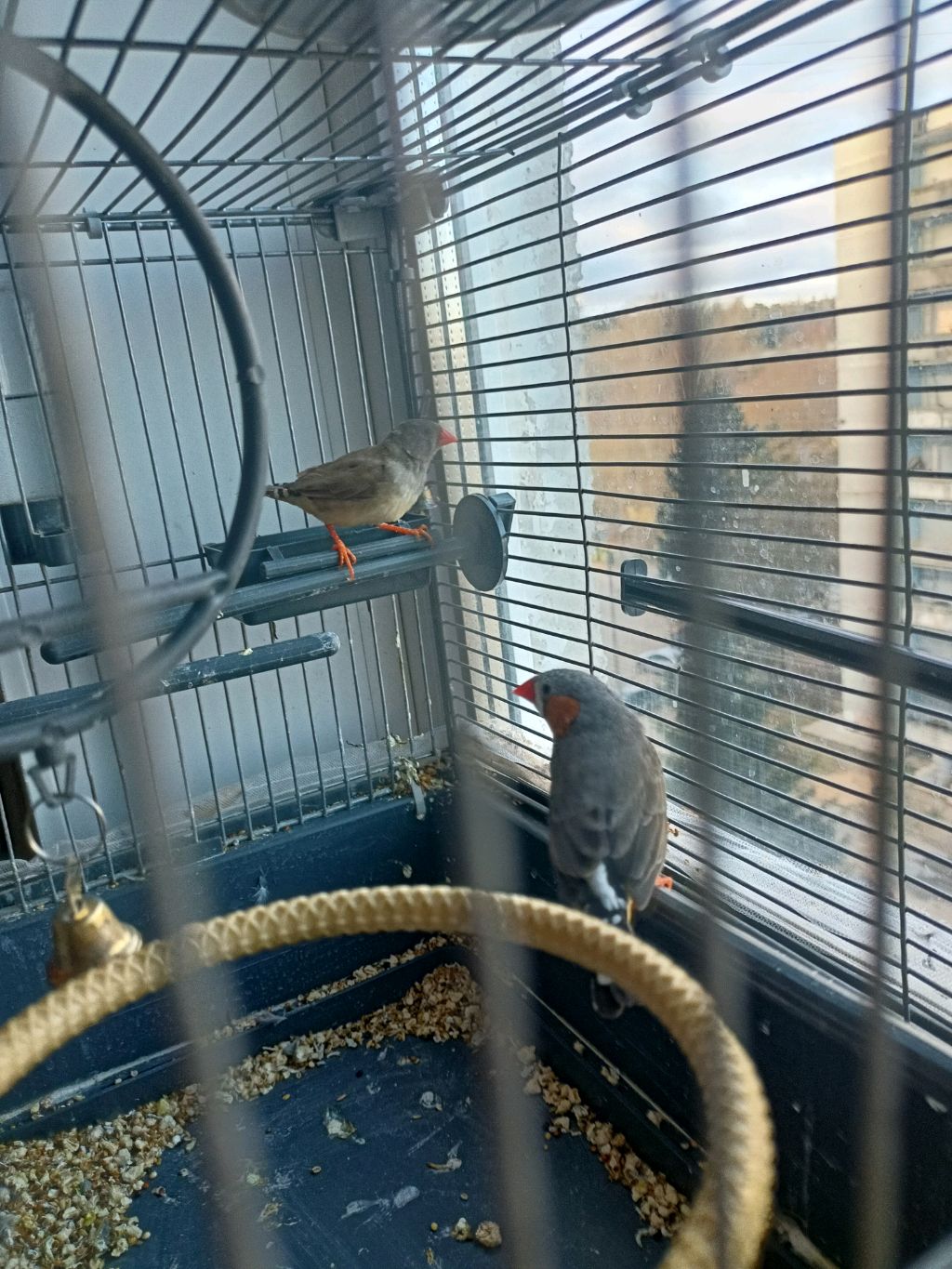 Разговор с зрителями