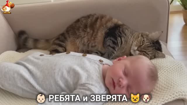Ребята и зверята от ИИ милое видео для души и радости 👶🏻😺🐶 (4)