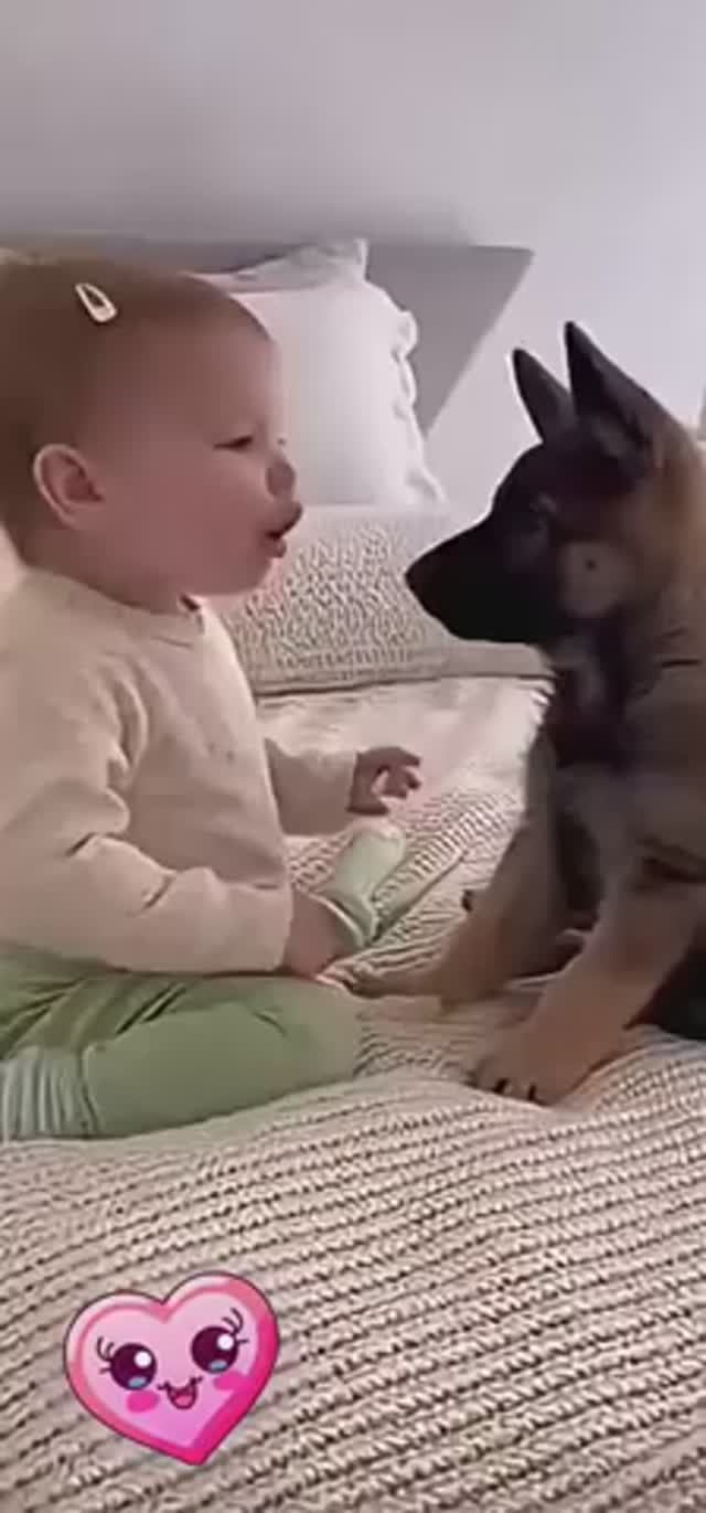 Спиногрызы и домашние питомцы 👶🐈⬛