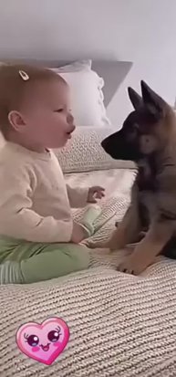 Спиногрызы и домашние питомцы 👶🐈⬛